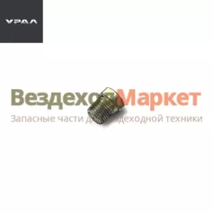 Пробка 1/8 262541 П29 (АО АЗ  УРАЛ )