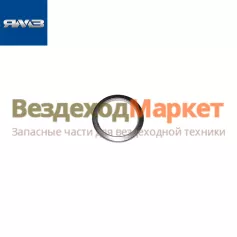 Прокладка пробки трубы охлаждения поршней 204.1011371 (Автодизель)