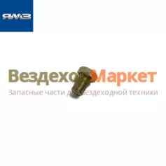 Болт-пробка М10х1х14/310219-П29 (Автодизель)