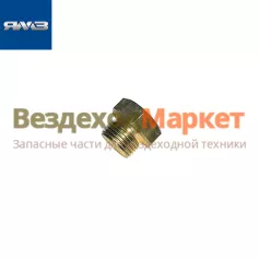 Пробка сливн. маслн. картера 316180/М24х2 (Автодизель)